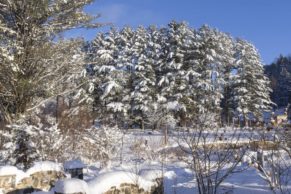 Sentier des Cimes Laurentides