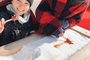 Cabane à sucre Domaine La France - Tire sur neige