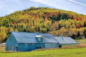 Barn - Ferme Ambrosia