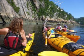 Aventure Rose des Vents - Kayak de mer sur le Fjord du Saguenay