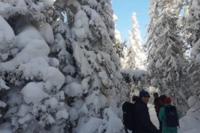 Aventure Rose des Vents - Randonnée hivernale