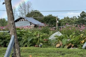 Ferme Les Petites Écores