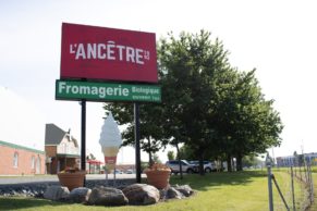 Fromagerie L'Ancêtre - Boutique Bécancour