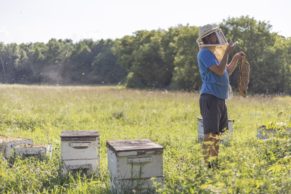 Ferme Les Petites Écores