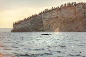 Auberge Griffon Aventure (Gaspésie)