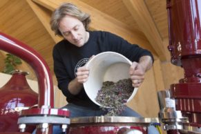 Distillerie des Marigots (Caplan, Gaspésie) - Photo Vincent Lebegue