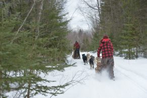 Pourvoirie du Lac Blanc (Lanaudière et Mauricie, Québec)