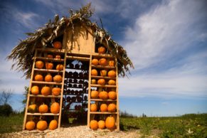 Ferme Forget (Laval Québec)