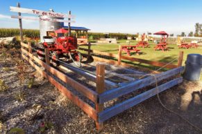 Ferme Forget (Laval Québec)