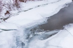 Auberge Griffon Aventure (Gaspésie)