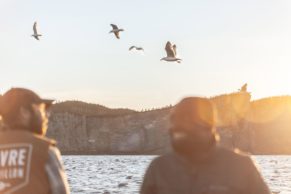 Auberge Griffon Aventure (Gaspésie)