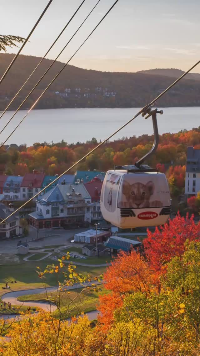 Bye bye automne. Merci pour tes couleurs et tes journées chaudes et ensoleillées. À l’année prochaine 🍁
•
•
#quebeclemag #quebeclessentiel #qc #automne #automnequebec #fall #fallvibes #explorequebec #lemeilleurducanada #roadtripquebec