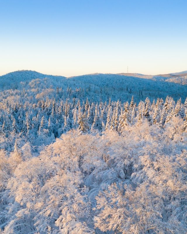 À portée de Montréal et d’Ottawa, la région des Laurentides cumule tous les atouts pour vous faire aimer l'hiver. Des randonnées en raquette aux raids en motoneige en passant par le traîneau à chiens, le ski nordique, la via ferrata hivernale et le réconfort dans les spas, partez à l'aventure en famille ! 🌨
Attachez bien votre tuque et suivez nos 10 expériences laurentiennes pour vivre des séjours d’hiver hors du commun.
.
.
#quebeclemag #quebec #qc #hiver #hiverquebec #explorequebec #roadtripquebec #lemeilleurducanada